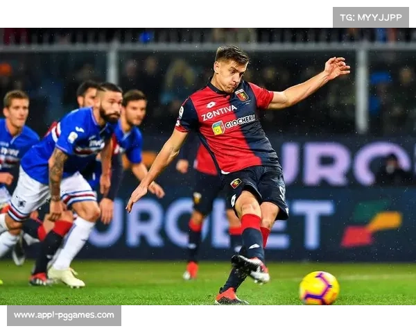 维罗纳主场球迷呐喊助威，保级战气氛紧张